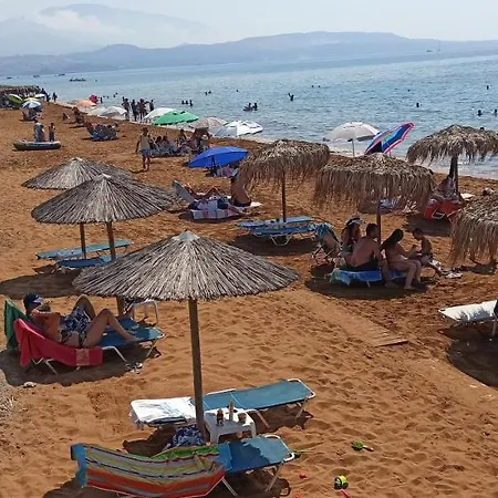 Bluetel Διαμέρισμα