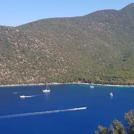 Bluetel Διαμέρισμα *